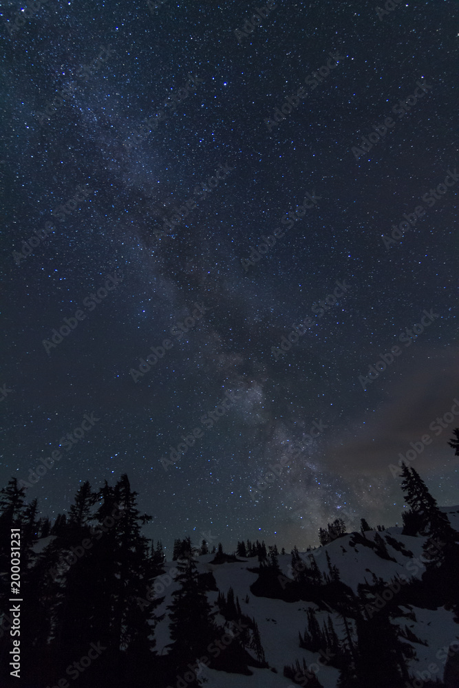 Fototapeta premium Milky way above trees and snowy mountain