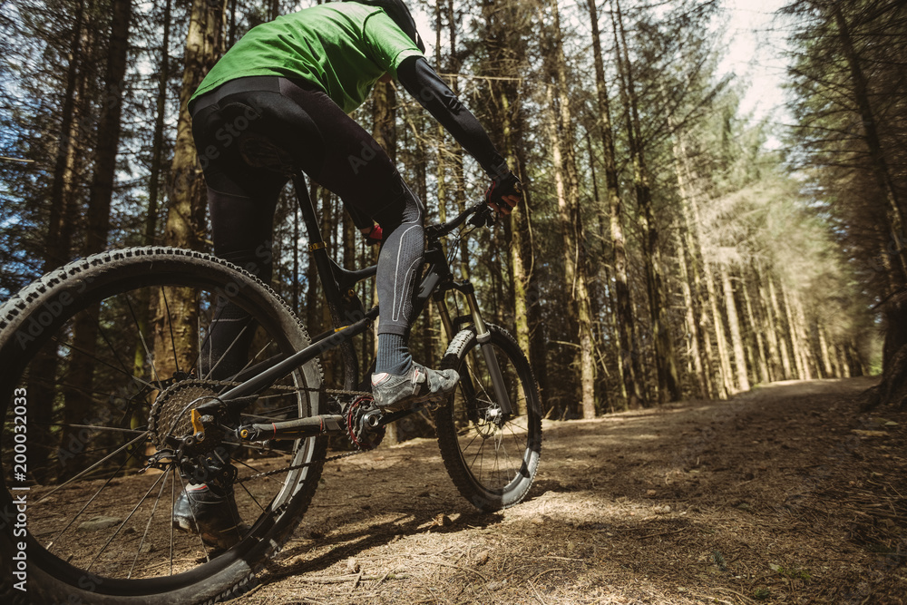 Low angle view of mountain biker riding in forest Low angle view of mountain biker riding in forest
