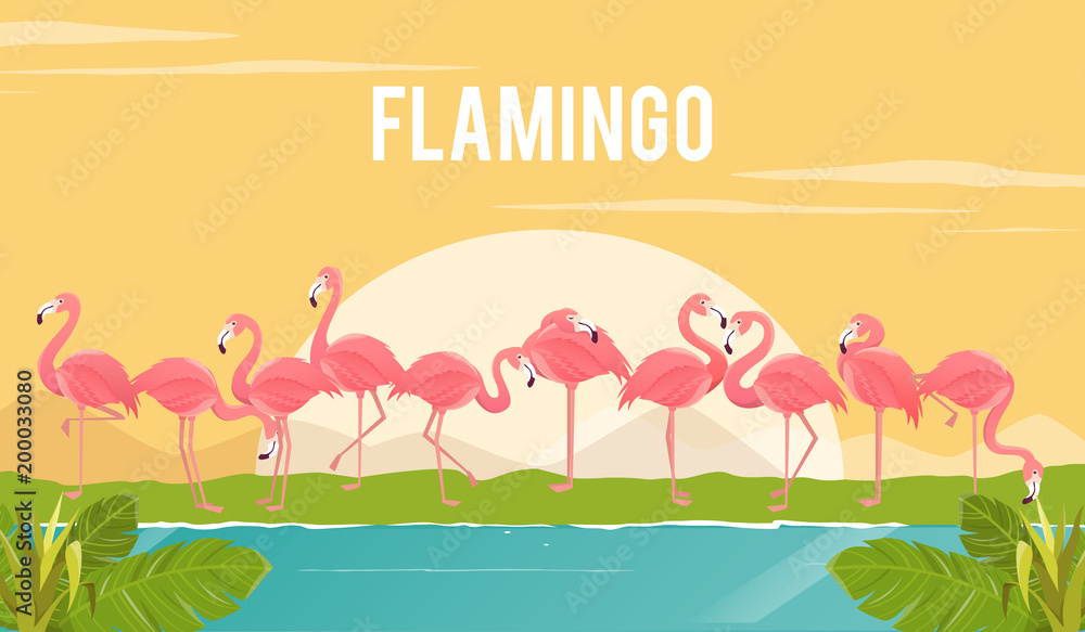 Naklejka premium Zestaw flamingów na tle. ilustracja.