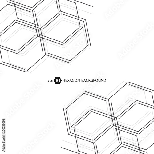 Hexagonal geometric background. Hexagons genetic and social network. Future geometric template. Business presentation for your design and text. Minimal graphic concept. Vector illustration.
