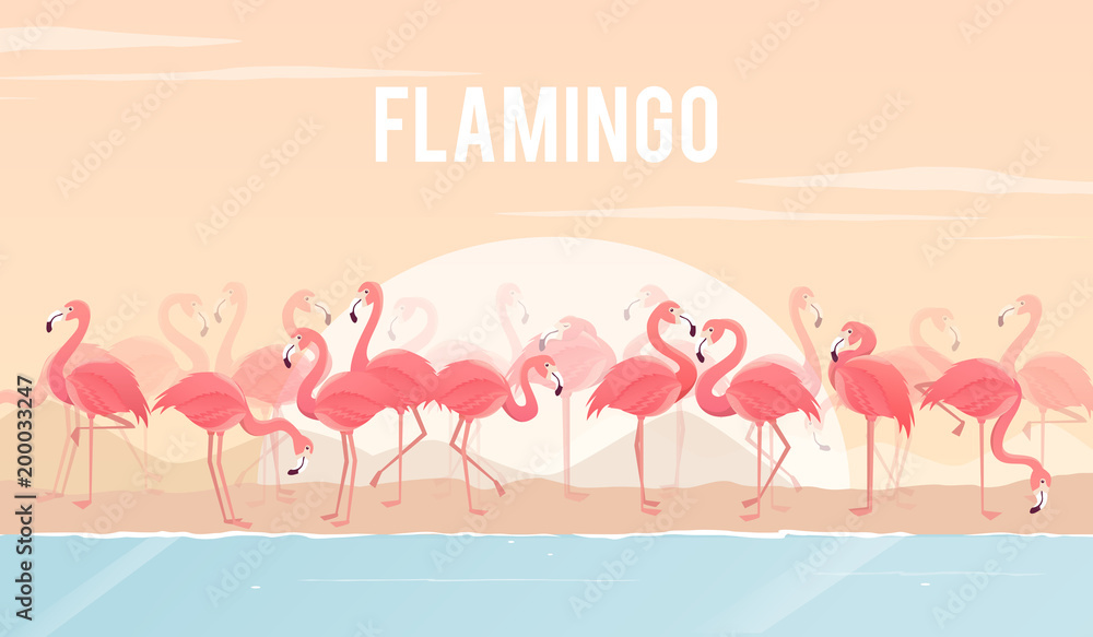 Set of flamingos on background. illustration. Set of flamingos on background. illustration.