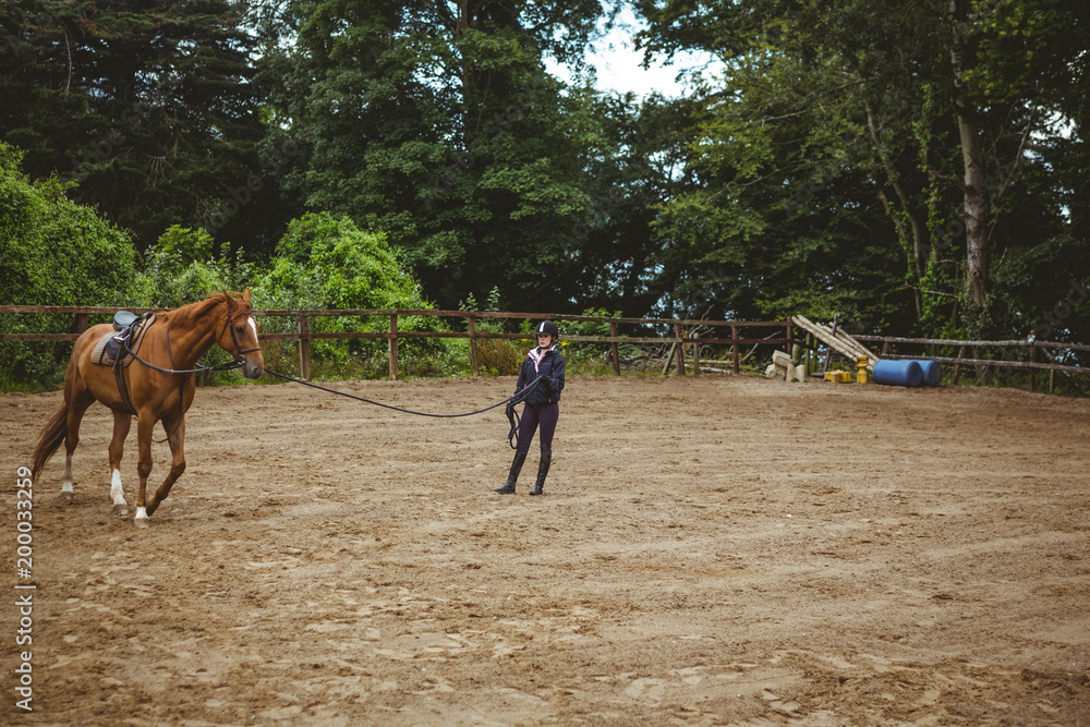 Female rider training her horse Female rider training her horse