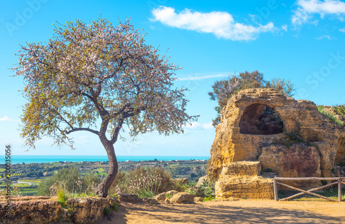 The beauty of art and nature of the Agrigento province