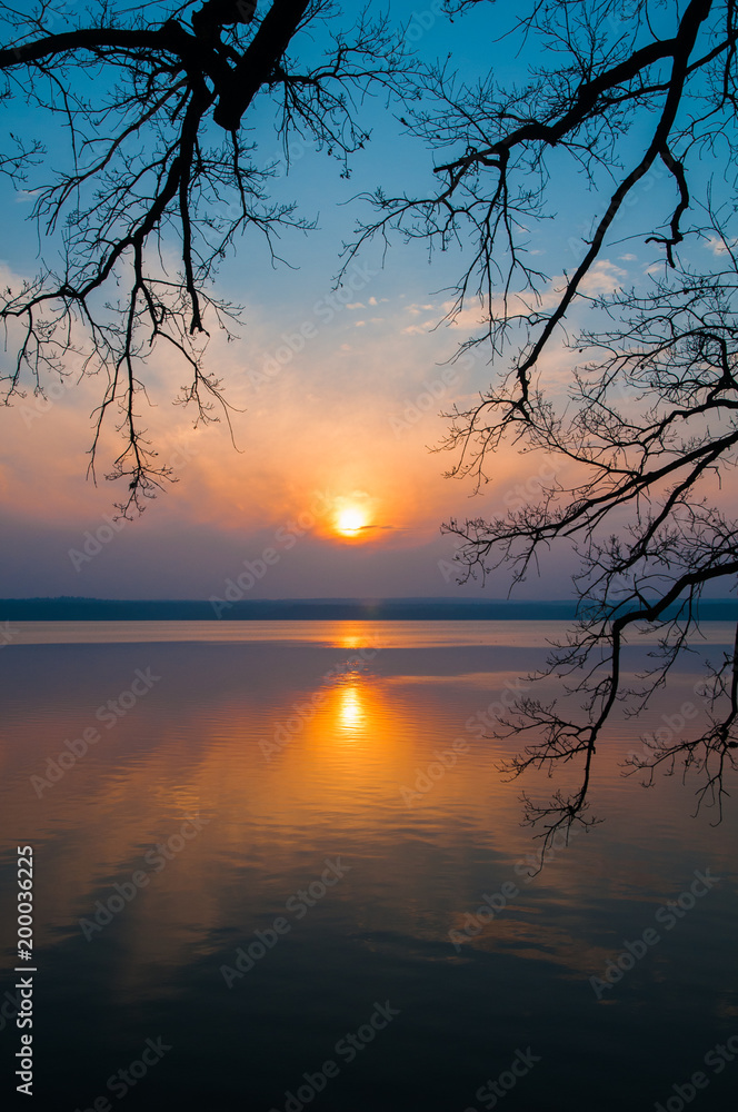 Beautiful sunset over a lake. Evening scene with decorative branches over tha water. Breathtaking summer view on a calm water surface. Beautiful sunset over a lake. Evening scene with decorative branches over tha water. Breathtaking summer view on a calm water surface.