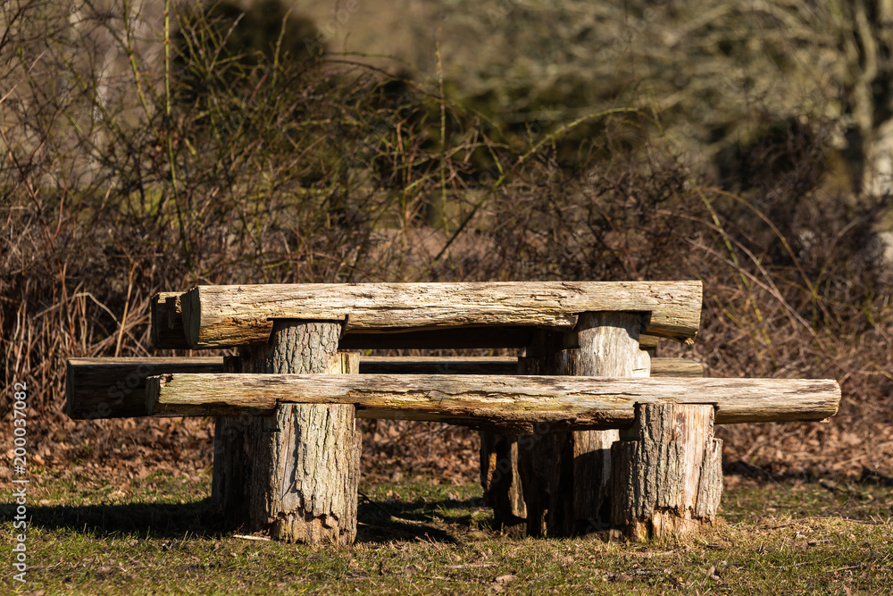 Rustic outdoor furniture made of tree logs and timber. Wild