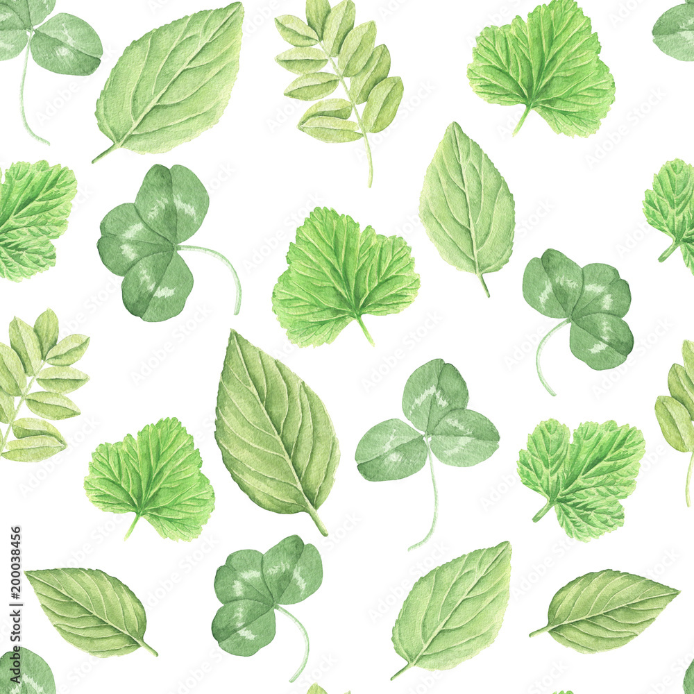 Watercolor leaves repeating pattern, hand drawn colorful green botanical seamless background illustration on white backdrop.