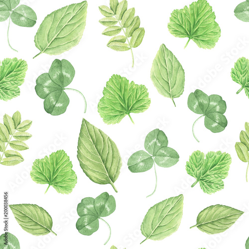 Watercolor leaves repeating pattern, hand drawn colorful green botanical seamless background illustration on white backdrop.