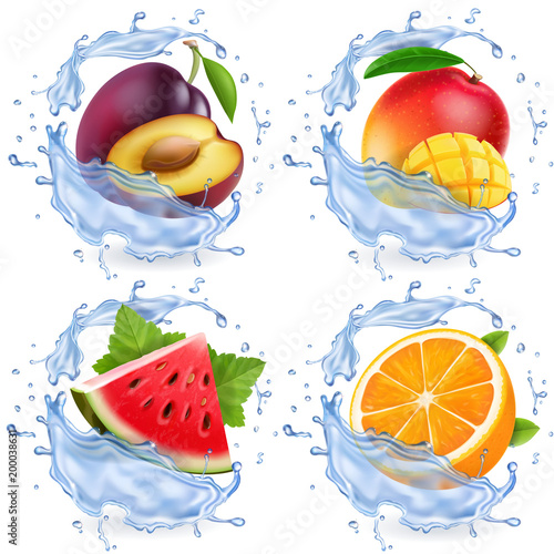 Mango, watermelon, orange, plum in water splash. Fresh fruits realistic vector icon set