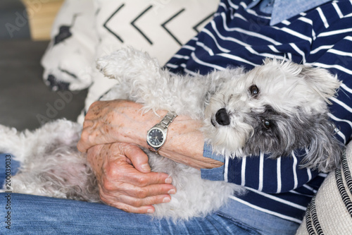 Senior Woman Hugging her Poodle Dog at Home.