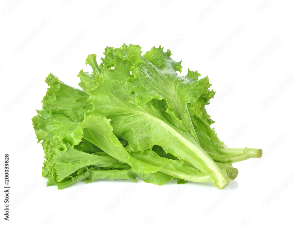 butter head lettuce,Crisp Head,Iceberg isolated on white background butter head lettuce,Crisp Head,Iceberg isolated on white background
