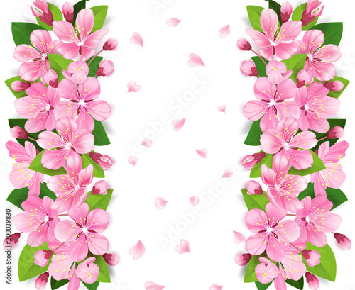 Set of realistic eggs on white background. Easter collection. Vector illustration.
