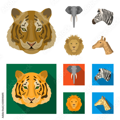 Tiger, lion, elephant, zebra, Realistic animals set collection icons in cartoon,flat style vector symbol stock illustration web.