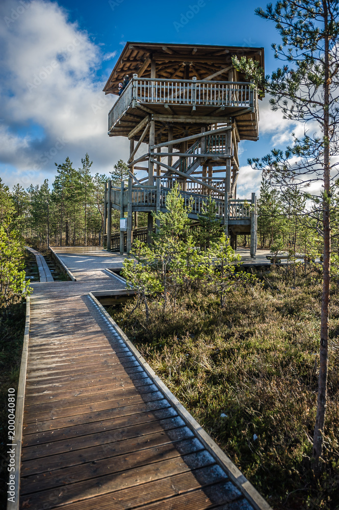 Close up of observation tower and boardwalk. Viru bog nature trail. Estonia. Close up of observation tower and boardwalk. Viru bog nature trail. Estonia.
