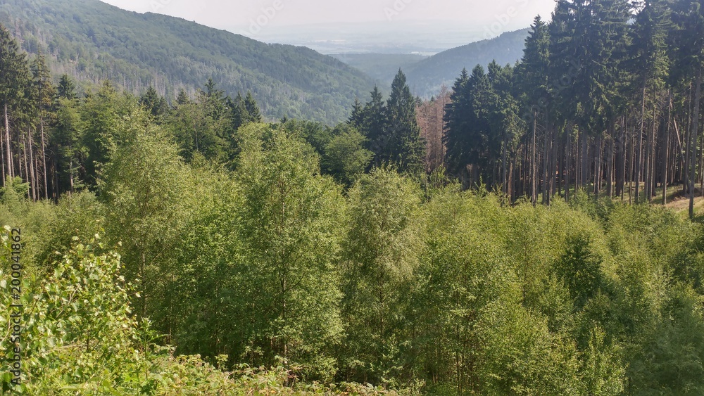 Harz Aussicht