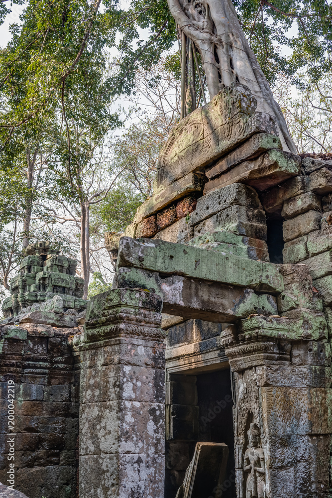 Naklejka premium Cambodia Angkor Complex 360
