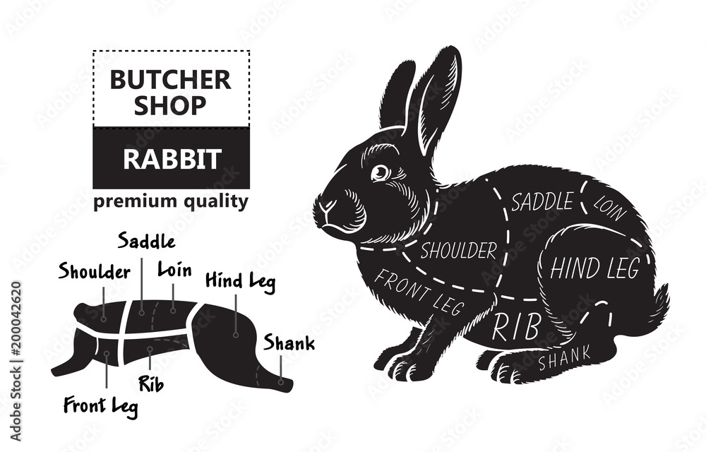 Cut of rabbit. Poster Butcher diagram for groceries, meat stores