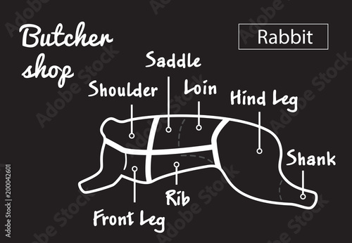 Cut of rabbit. Poster Butcher diagram for groceries, meat stores, butcher shop, farmer market. Poster for meat related theme. Rabbit silhouette. Vector illustration.