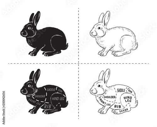Cut of rabbit. Poster Butcher diagram for groceries, meat stores, butcher shop, farmer market. Poster for meat related theme. Rabbit silhouette. Vector illustration.