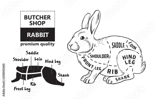 Cut of rabbit. Poster Butcher diagram for groceries, meat stores, butcher shop, farmer market. Poster for meat related theme. Rabbit silhouette. Vector illustration.