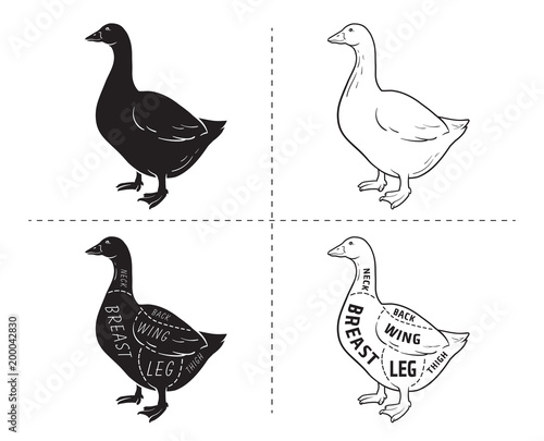Cut of meat set. Poster Butcher diagram, scheme - Goose. Vintage typographic hand-drawn goose silhouette for butcher shop, restaurant menu, graphic design. Meat, poultry theme. Vector Illustration