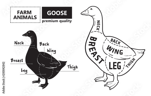 Cut of meat set. Poster Butcher diagram, scheme - Goose. Vintage typographic hand-drawn goose silhouette for butcher shop, restaurant menu, graphic design. Meat, poultry theme. Vector Illustration