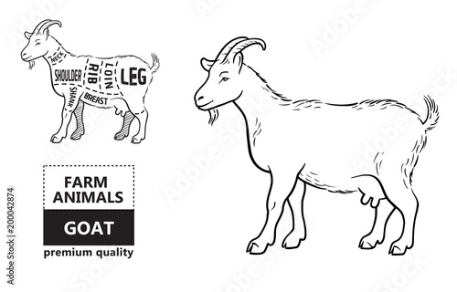 Vector illustration goat cuts diagram or chart. Goat black silhouette. Butcher chart.