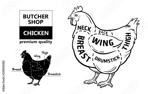 Cut of meat set. Poster Butcher diagram and scheme - Chicken. Vintage typographic hand-drawn. Vector illustration