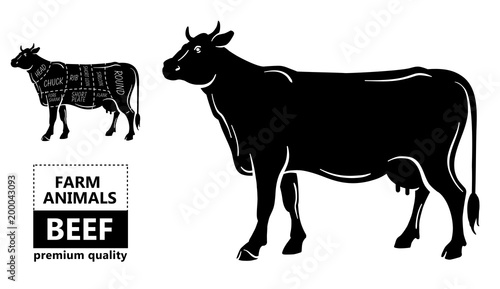 Cut of beef set. Poster Butcher diagram - Cow. Vintage typographic hand-drawn. Vector illustration