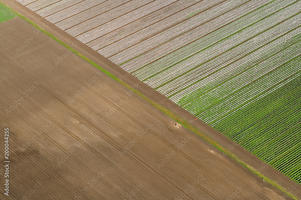 Aerial view of agricultural fields in the Lockyer Valley, Queensland, Australia