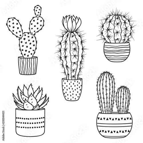 Set of hand drawn cacti in pots