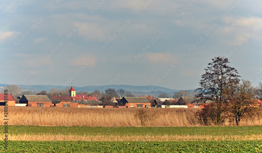 A green field with a reed strip and a village with a church.Moravia, Czech republic. A green field with a reed strip and a village with a church.Moravia, Czech republic.