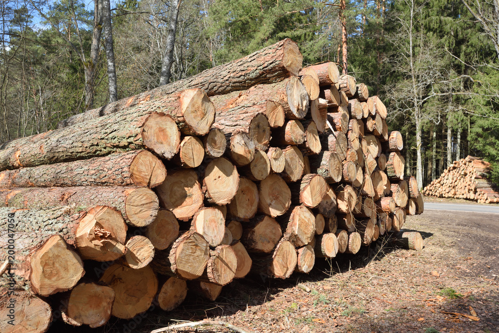 Timber industry