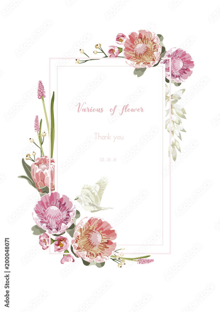 Vintage and luxurious floral vector greeting card with flowers in garden and square label, vector Illustration