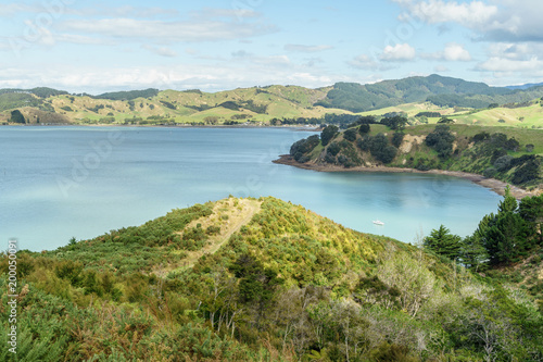 scenic shot of beautiful shore in Waitawa Regional Park  New Zealand