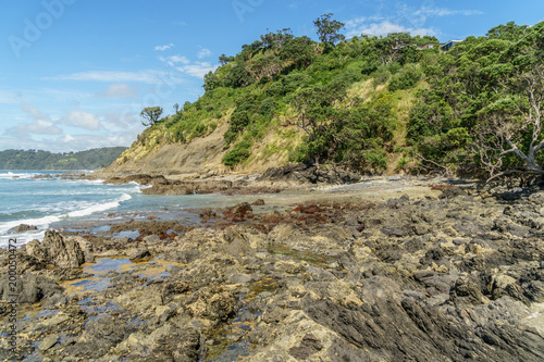 scenic shot of coastline and wavy sea on sunny day, Leigh beach, New Zealand