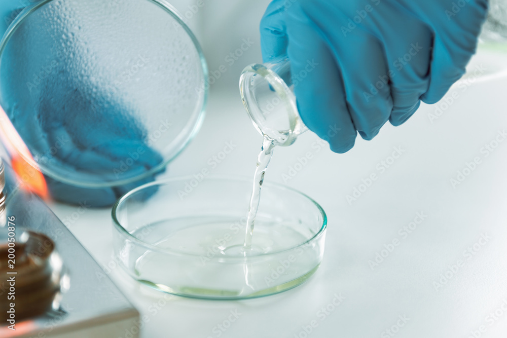 Microbiology. Hands of a microbiologist pouring agar into a petri dish Microbiology. Hands of a microbiologist pouring agar into a petri dish