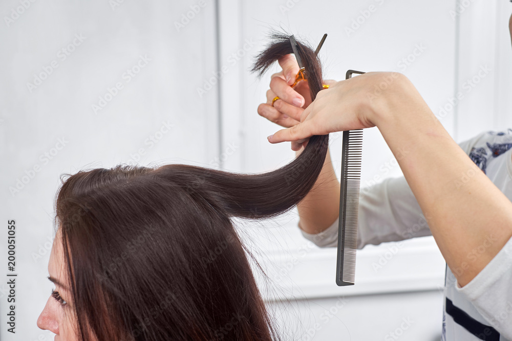 Fototapeta premium Close-up of a hairdresser cutting the hair of a woman.