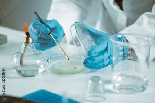 Microbiology laboratory work