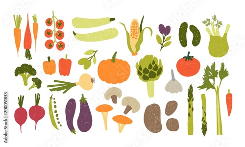 Collection of colorful hand drawn fresh delicious vegetables isolated on white background. Bundle of healthy and tasty vegan products, wholesome vegetarian food. Flat cartoon vector illustration.