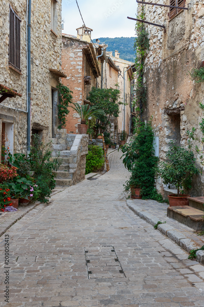 Narrow cobbled street with flowers in the old village Tourrettes-sur-Loup , France.