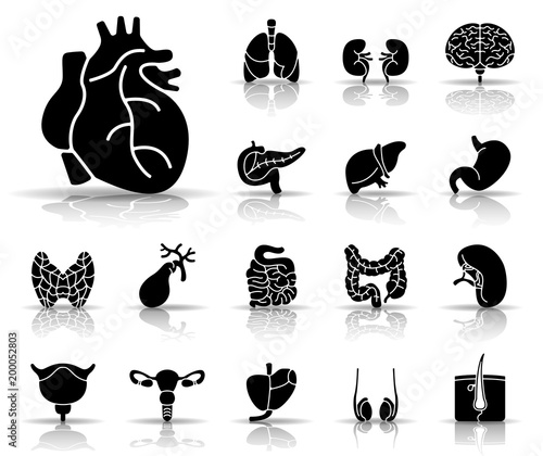 Der Mensch - Organe Iconset (Schwarz)