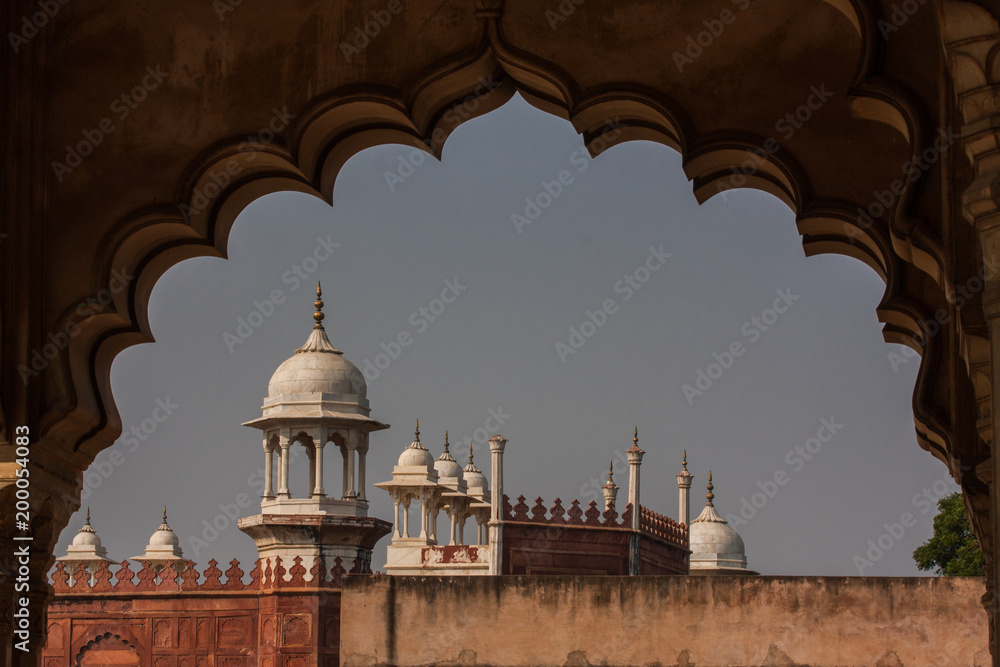 The amazing Agra fort beautiful architecture, India