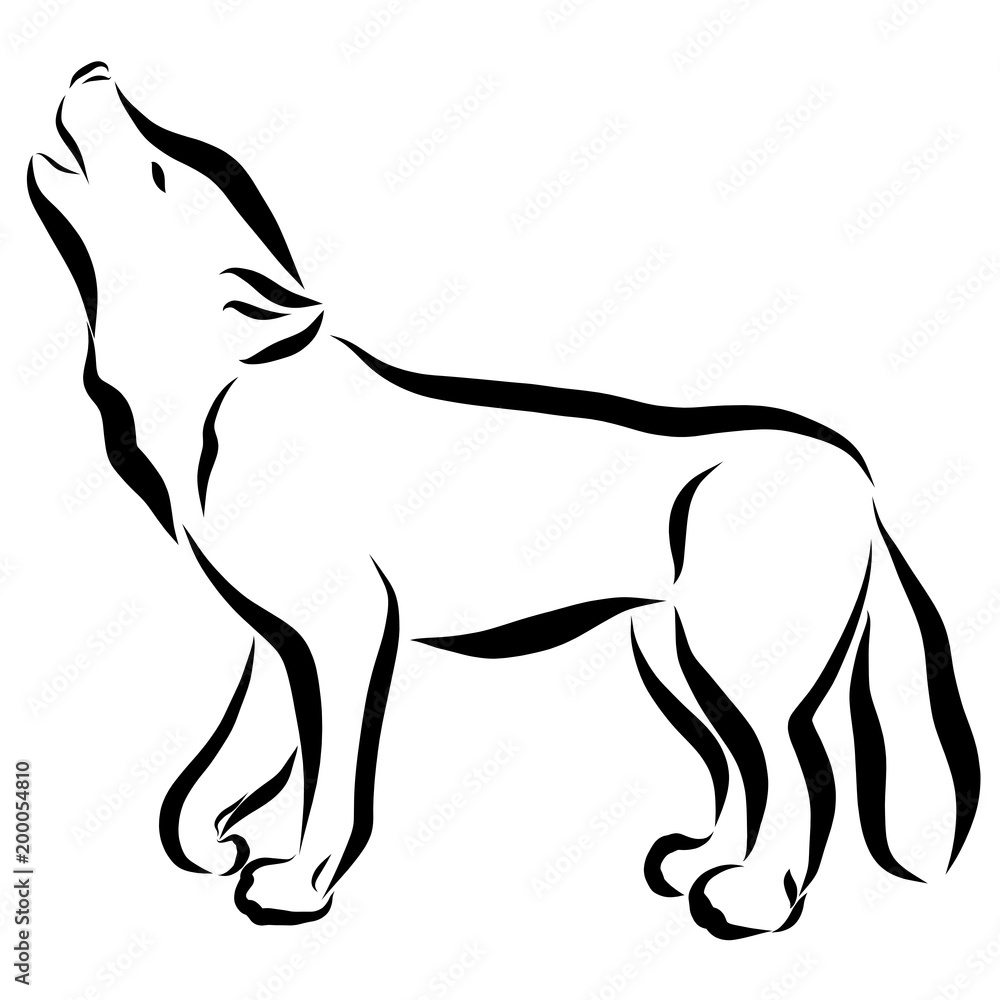 Fototapeta Wolf or dog, drawing in black lines