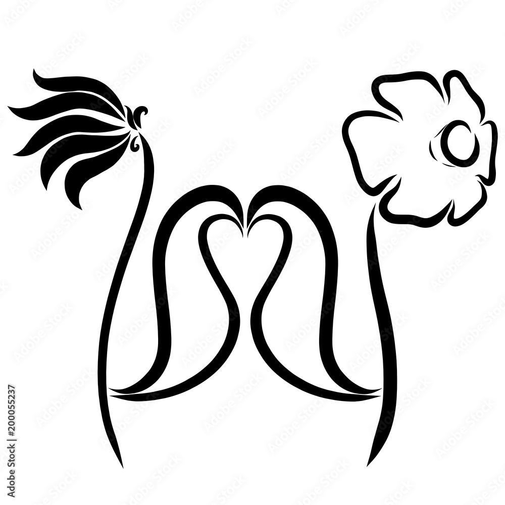 Love and flowers and a heart of leaves Love and flowers and a heart of leaves