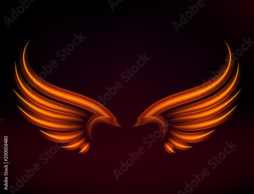 Bird fire wings vector fantasy feather burning fly mystic glow fiery burn hot art wings illustration on black.