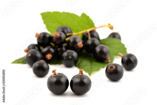 Black currant on white bakground. Currant berries with leaves.