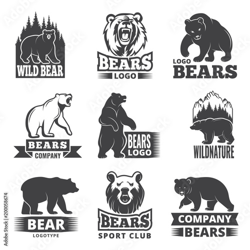 Sport labels with illustrations of animals. Pictures of bears for logo design