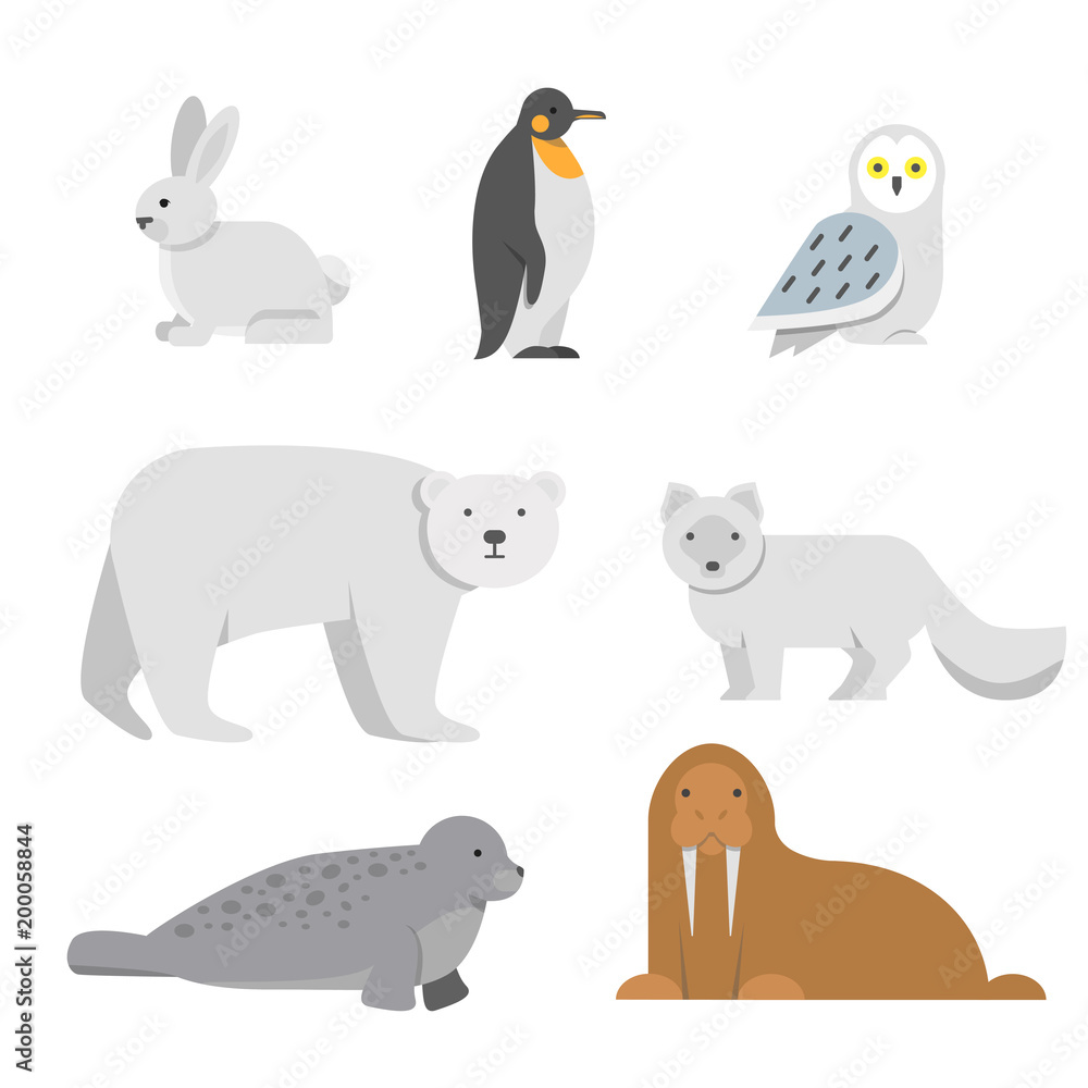 Vector illustrations of arctic snow animals Vector illustrations of arctic snow animals