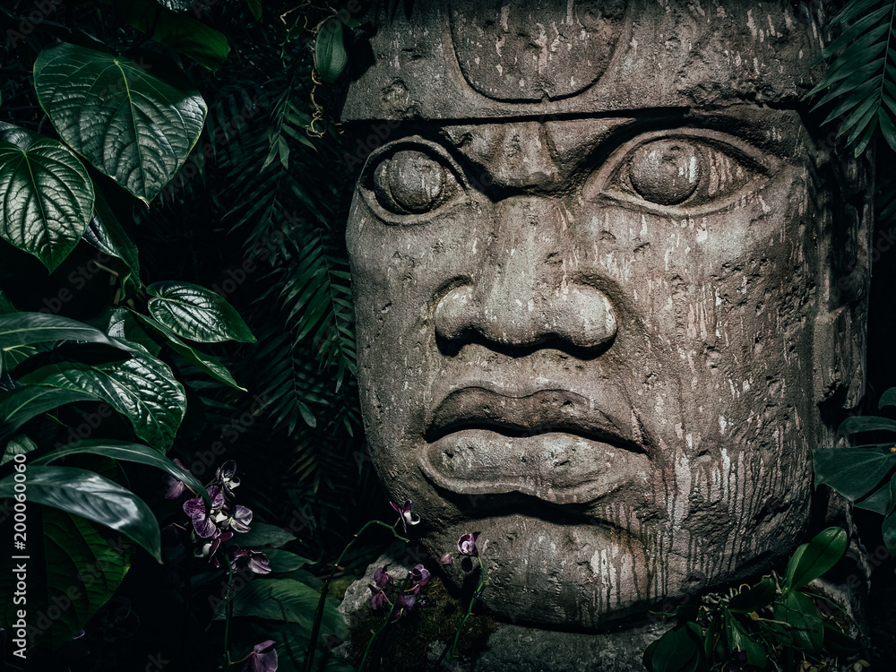 Olmec sculpture carved from stone. Big stone head statue in a jungle Photos  | Adobe Stock
