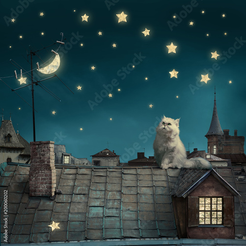 surreal fairy tale art background, cat on roof, night sky with moon and stars